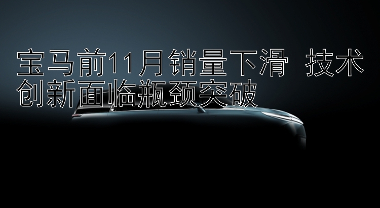 宝马前11月销量下滑 技术创新面临瓶颈突破