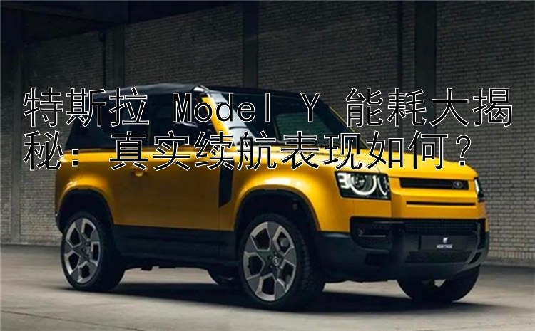 特斯拉 Model Y 能耗大揭秘：真实续航表现如何？