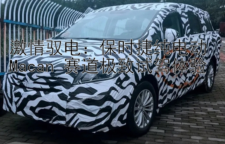 激情驭电：保时捷纯电动 Macan 赛道极致试驾体验